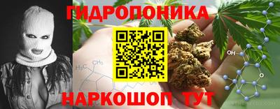 jwh Будённовск