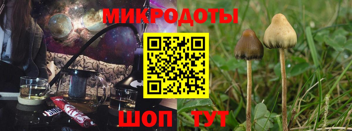 Псилоцибиновые грибы Psilocybe  Вход с VPN  купить  сайты  Псилоцибиновые грибы ЛСД  Михайловск 